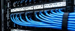 Rows of blue patch cables neatly dressed into a patch panel